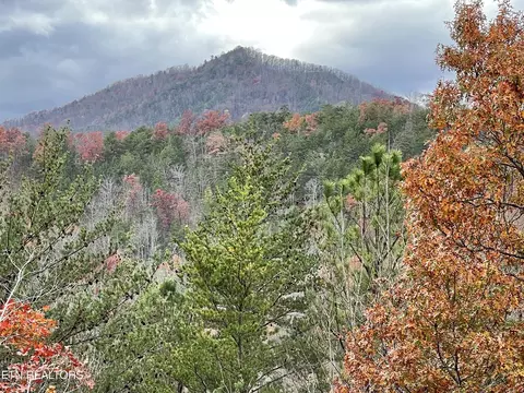 Caney Creek Lot 2, Pigeon Forge, TN 37863