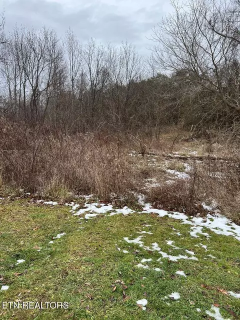 454 Old Forge Ridge Rd, Harrogate, TN 37752 photo 4