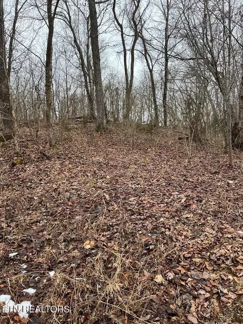 454 Old Forge Ridge Rd, Harrogate, TN 37752 photo 9