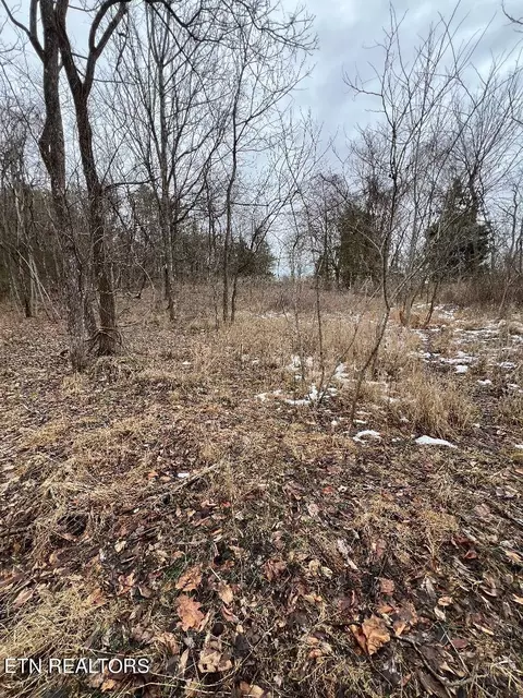 454 Old Forge Ridge Rd, Harrogate, TN 37752 photo 5
