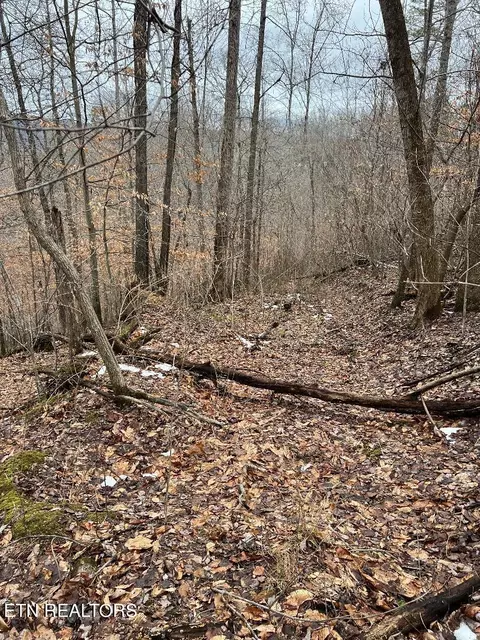 454 Old Forge Ridge Rd, Harrogate, TN 37752 photo 6