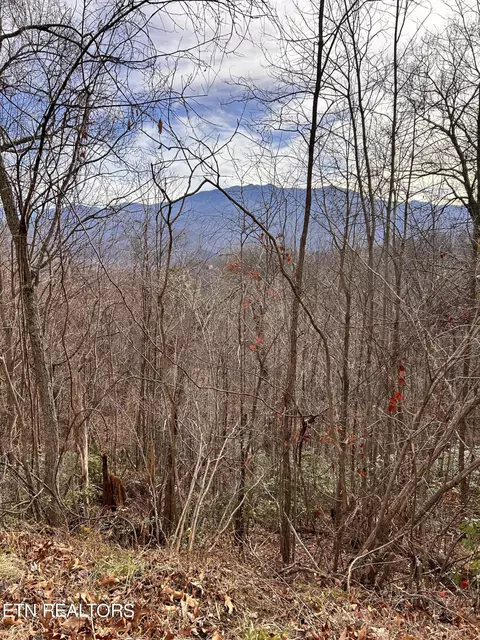 3 Upper Alpine Way, Gatlinburg, TN 37738