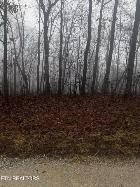 Running Deer, Crab Orchard, TN 37723