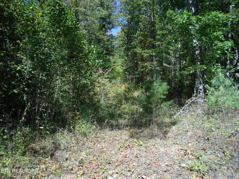 Honey Creek Loop, Robbins, TN 37852