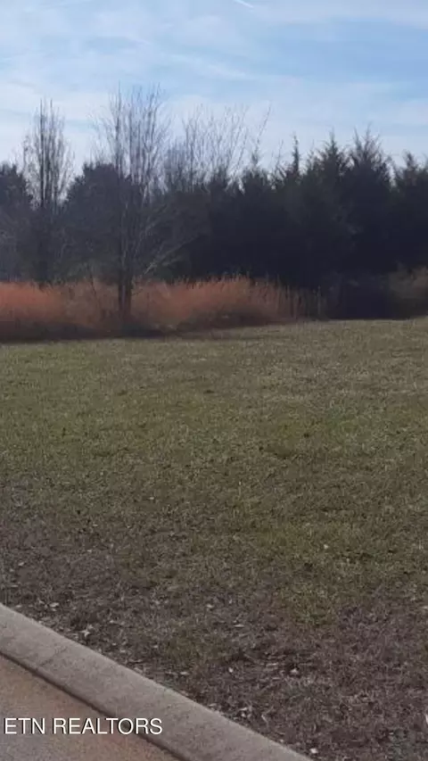 149 Cold Creek Rd, Madisonville, TN 37354