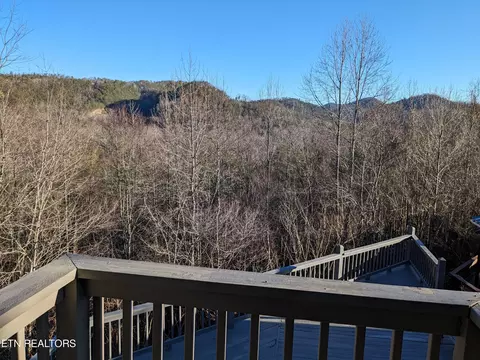 View/Area - 433 Mountain Thrush Dr, Townsend, TN 37882 photo 2 of 2