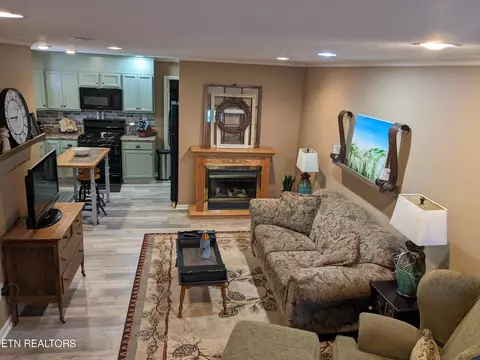 Living - 433 Mountain Thrush Dr, Townsend, TN 37882 photo 1 of 3