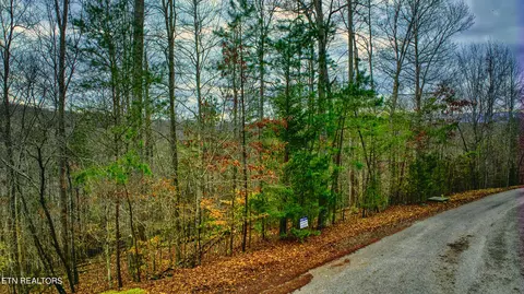 Stoney Rock Lane, Jacksboro, TN 37757