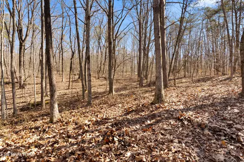 Lot 1 Tanner Drive, Monterey, TN 38574