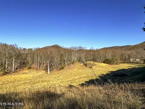 2945 Peacock Ln, Dandridge, TN 37725