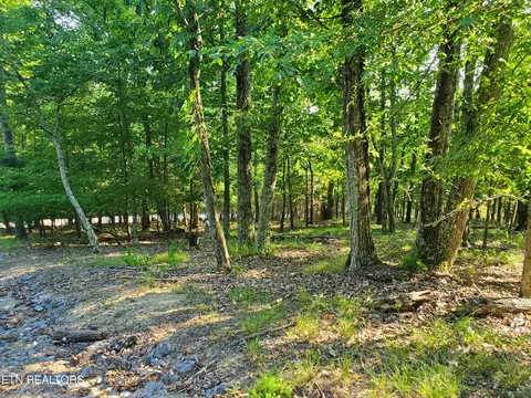 1324 Muskogee Dr, Mooresburg, TN 37811