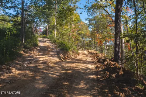 Off Panther Creek Rd, Sneedville, TN 37869