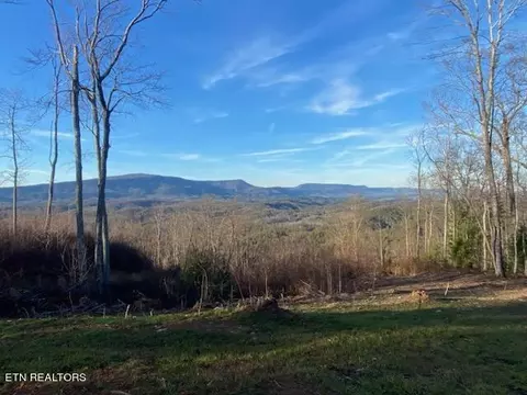 Lot 1a Chestnut Mountain Road, Reliance, TN 37369