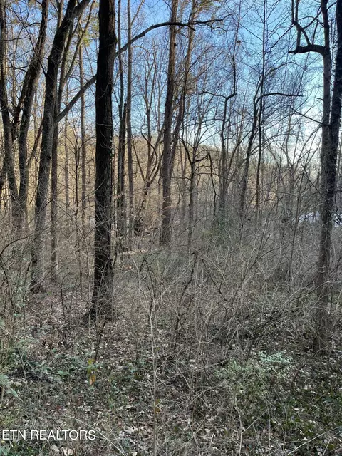 2504 SW Tall Pine Ln, Knoxville, TN 37920