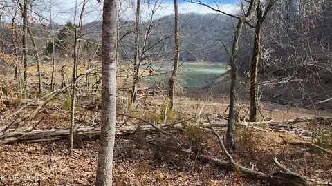 312 Lot Bluff View Rd, New Tazewell, TN 37825