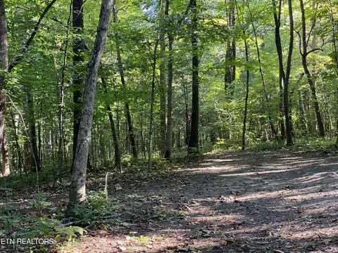 0 Conner Rd, Powell, TN 37849