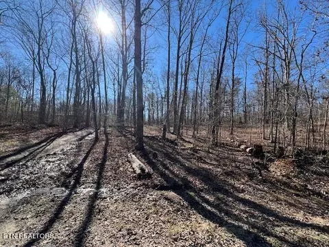 Lt 112/113 Red Oak Lane, Spring City, TN 37381