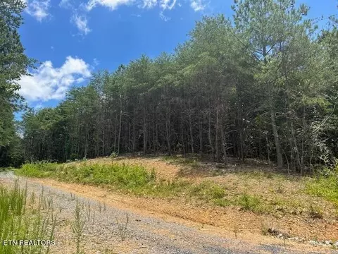 Tract 5 Owl Hollow Road Sw, Mc Donald, TN 37353