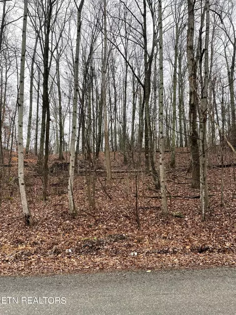 Lot 1 Sussex Drive, Dayton, TN 37321