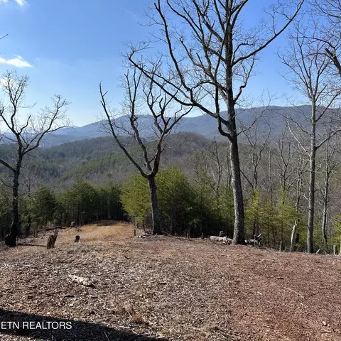 200 Mclemore Rd, Tellico Plains, TN 37385