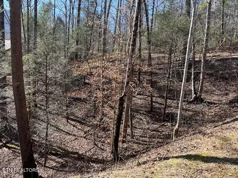 Laurel Trace Rd, Townsend, TN 37882 photo 3