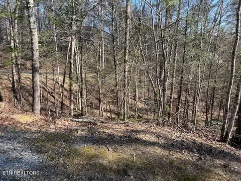 Laurel Trace Rd, Townsend, TN 37882 photo 5