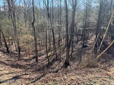 Laurel Trace Rd, Townsend, TN 37882 photo 2