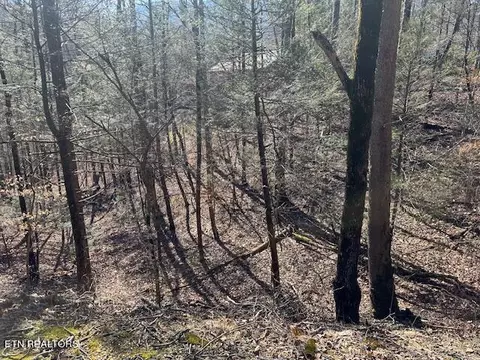 Laurel Trace Rd, Townsend, TN 37882 photo 7
