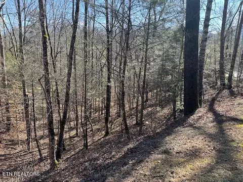 Laurel Trace Rd, Townsend, TN 37882 photo 6