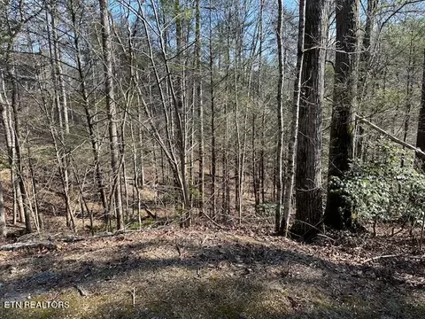 Laurel Trace Rd, Townsend, TN 37882 photo 4