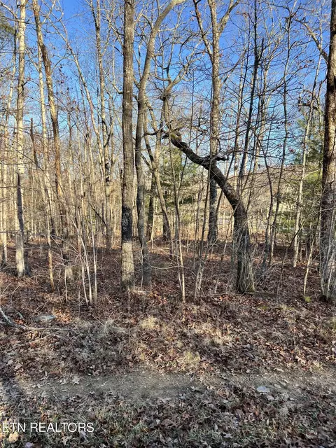 153 Manchester Rd, Crossville, TN 38558