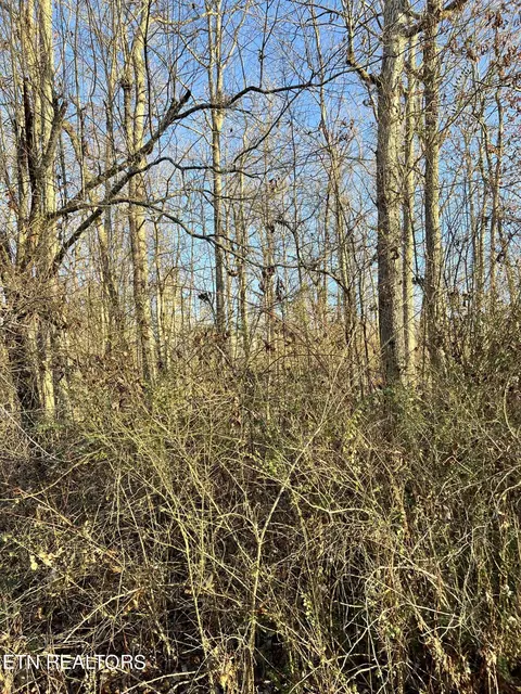 154 Lakeshire Dr, Crossville, TN 38558