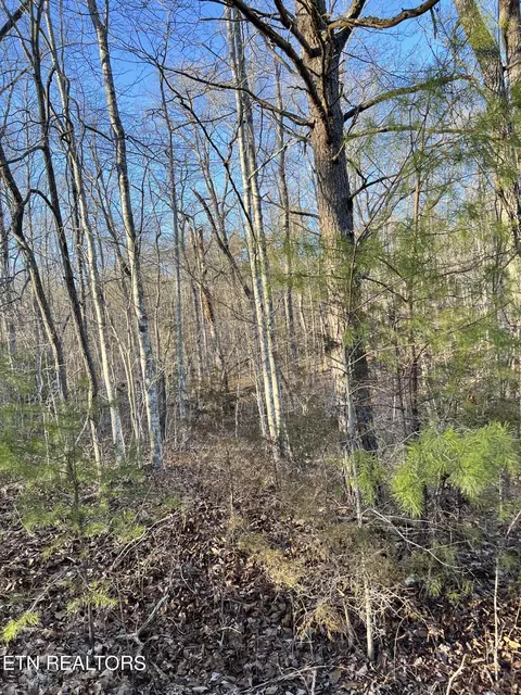 443 St George Dr, Crossville, TN 38558
