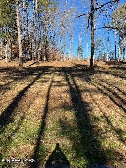 Chamberlain Cove Rd, Kingston, TN 37763