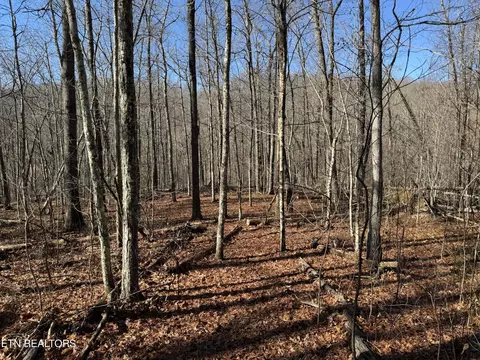 e cove rd, Monterey, TN 38574