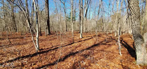 Rhonda Rd, Monterey, TN 38574