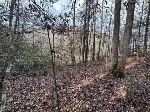 Little Bear Trail Way, Cosby, TN 37722