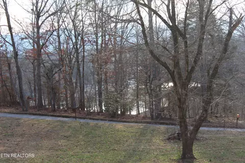 Lake Brook Lane, La Follette, TN 37766