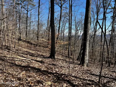 426 Chimney Rock Road, New Tazewell, TN 37825