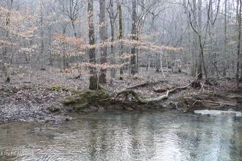 White Oak Circle Rd, Sunbright, TN 37872