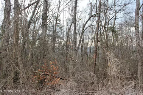 Carol Drive, Jamestown, TN 38556