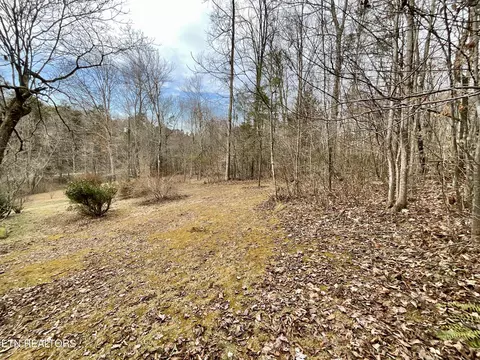 Exterior - 7816 Wood Rd, Corryton, TN 37721 photo 6 of 7