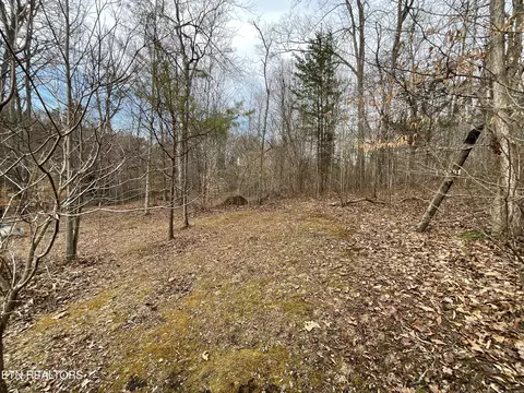 Exterior - 7816 Wood Rd, Corryton, TN 37721 photo 4 of 7