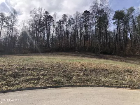 Lot 7 Briar Ridge Lane, Strawberry Plains, TN 37871