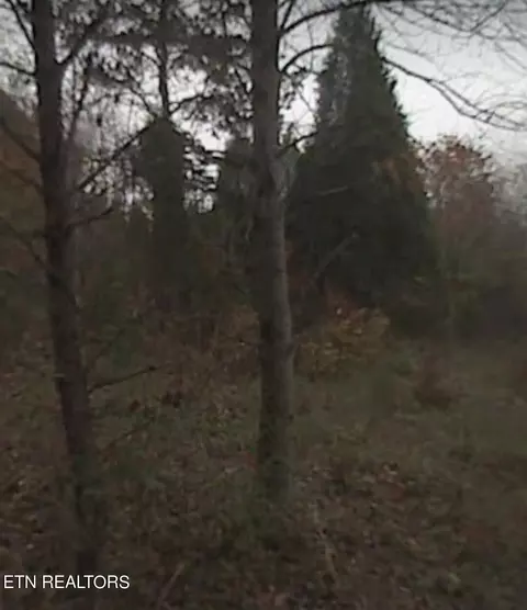 53 Willow Drive, Kingston, TN 37763
