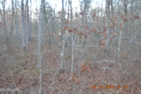 707 Oneida Ln, Crossville, TN 38572