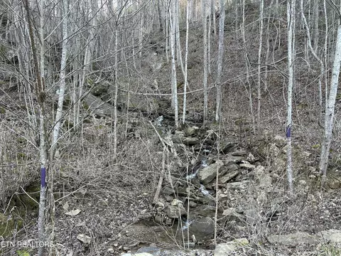 E Obey Lane, Wilder, TN 38589