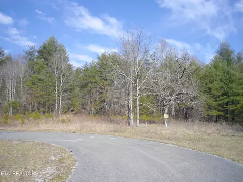 Wild Magnolia, Jamestown, TN 38556