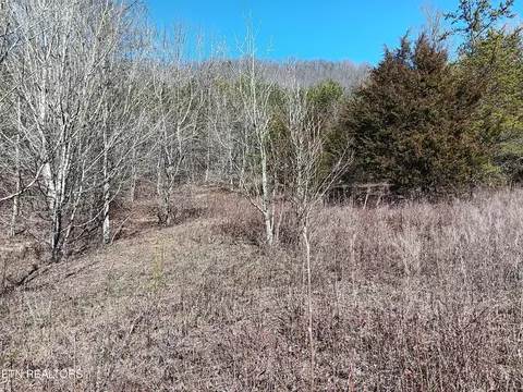 0 Crackers Neck Rd, Washburn, TN 37888