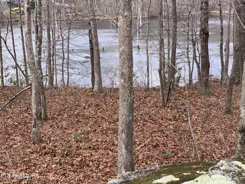 Pickett Lake Rd, Altamont, TN 37301